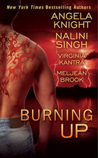 Review: Burning Up