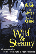 wild and steamy cover